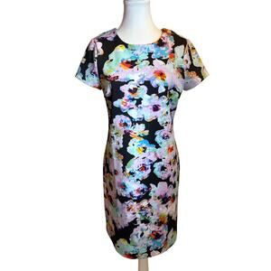 Spence | Floral Short Sleeve Sheath Dress | 6